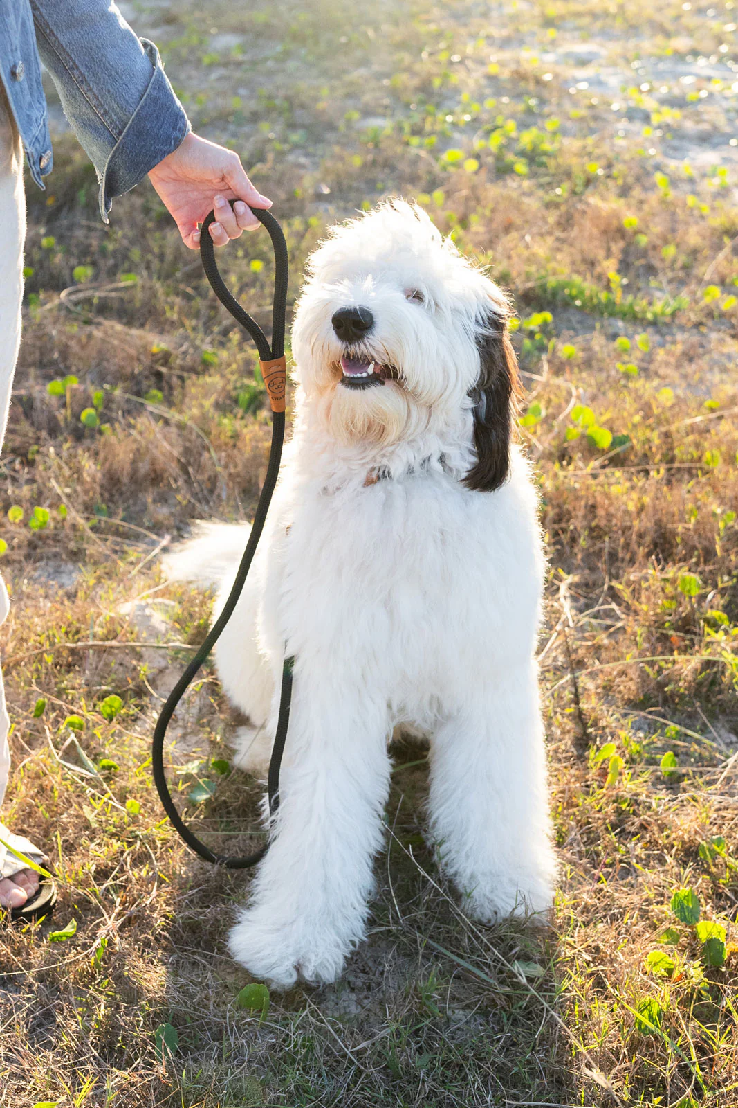 Rope Slip Lead - Black - The Original Charlie - Image 11