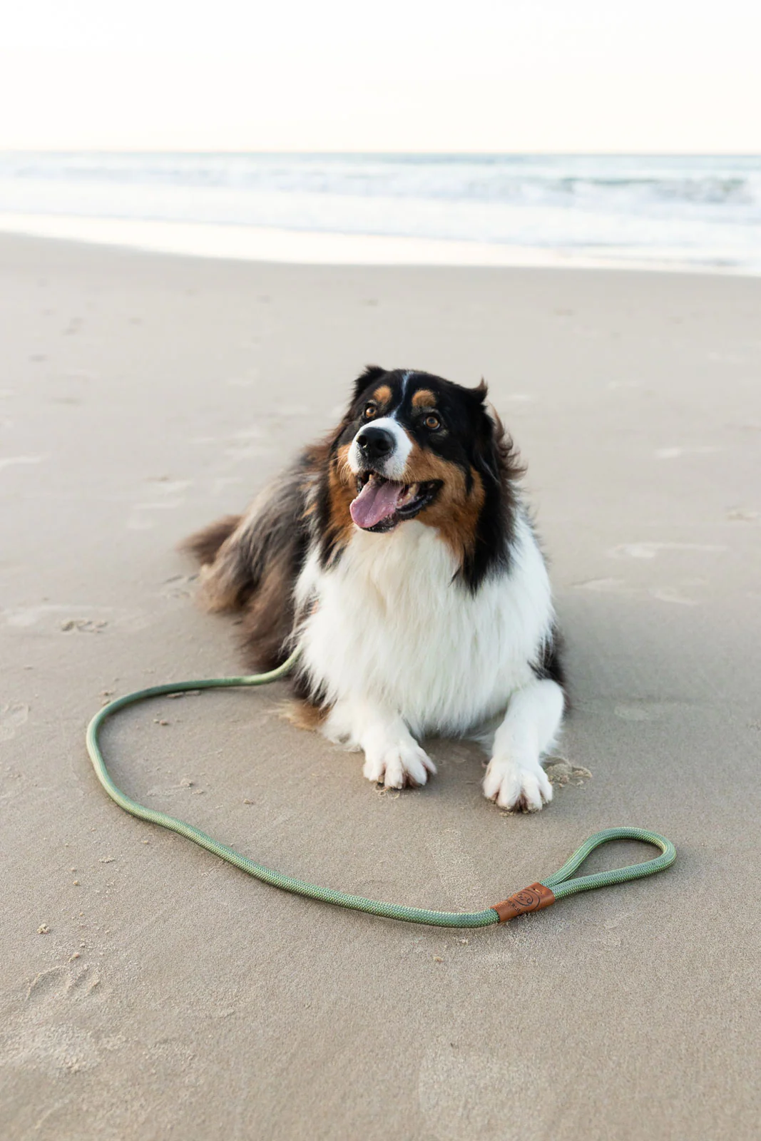 The Original Charlie Rope Slip Lead – Gum Leaf Green - Image 9