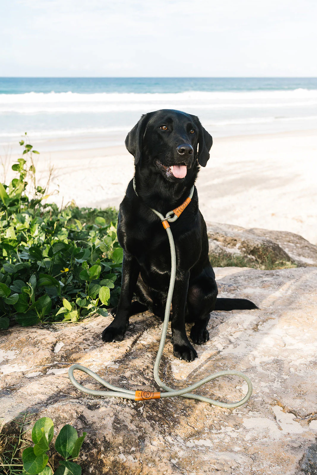 The Original Charlie Rope Slip Lead – Gum Leaf Green - Image 12