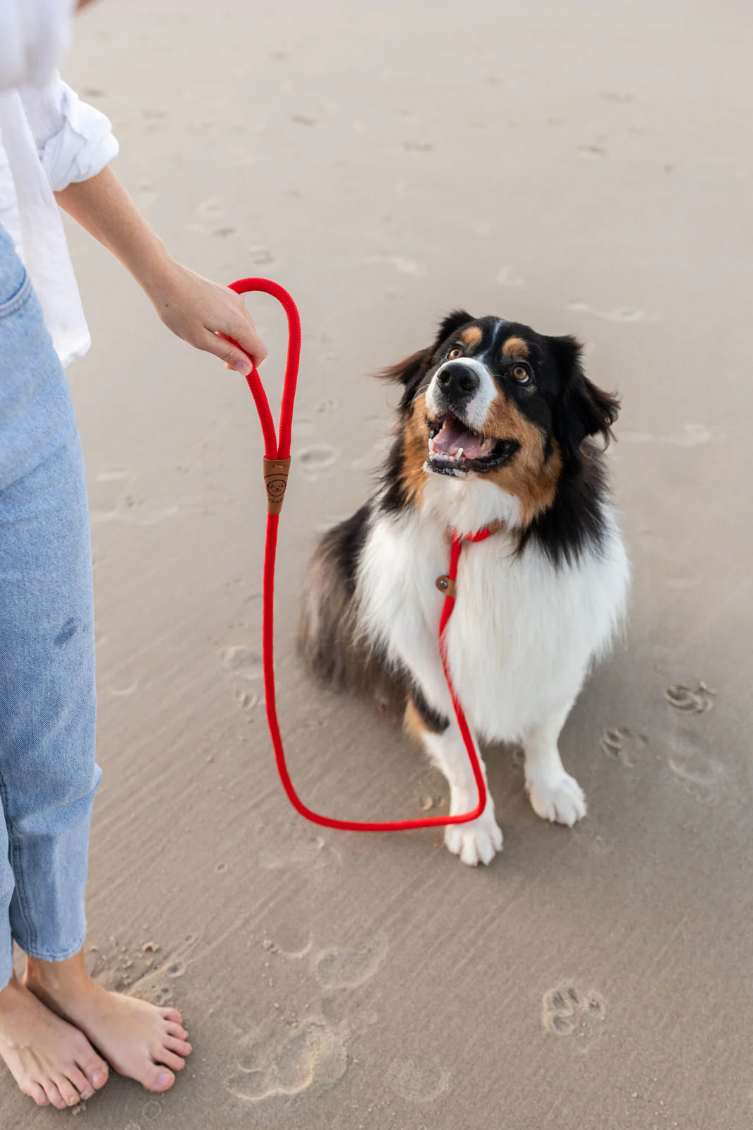 Rope Slip Lead - Velvet Red - The Original Charlie - Image 10