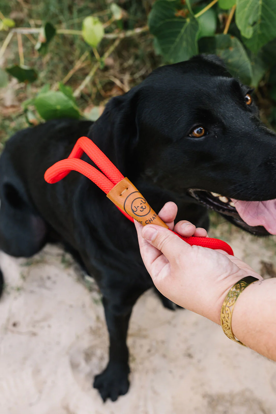 Rope Slip Lead - Velvet Red - The Original Charlie - Image 15