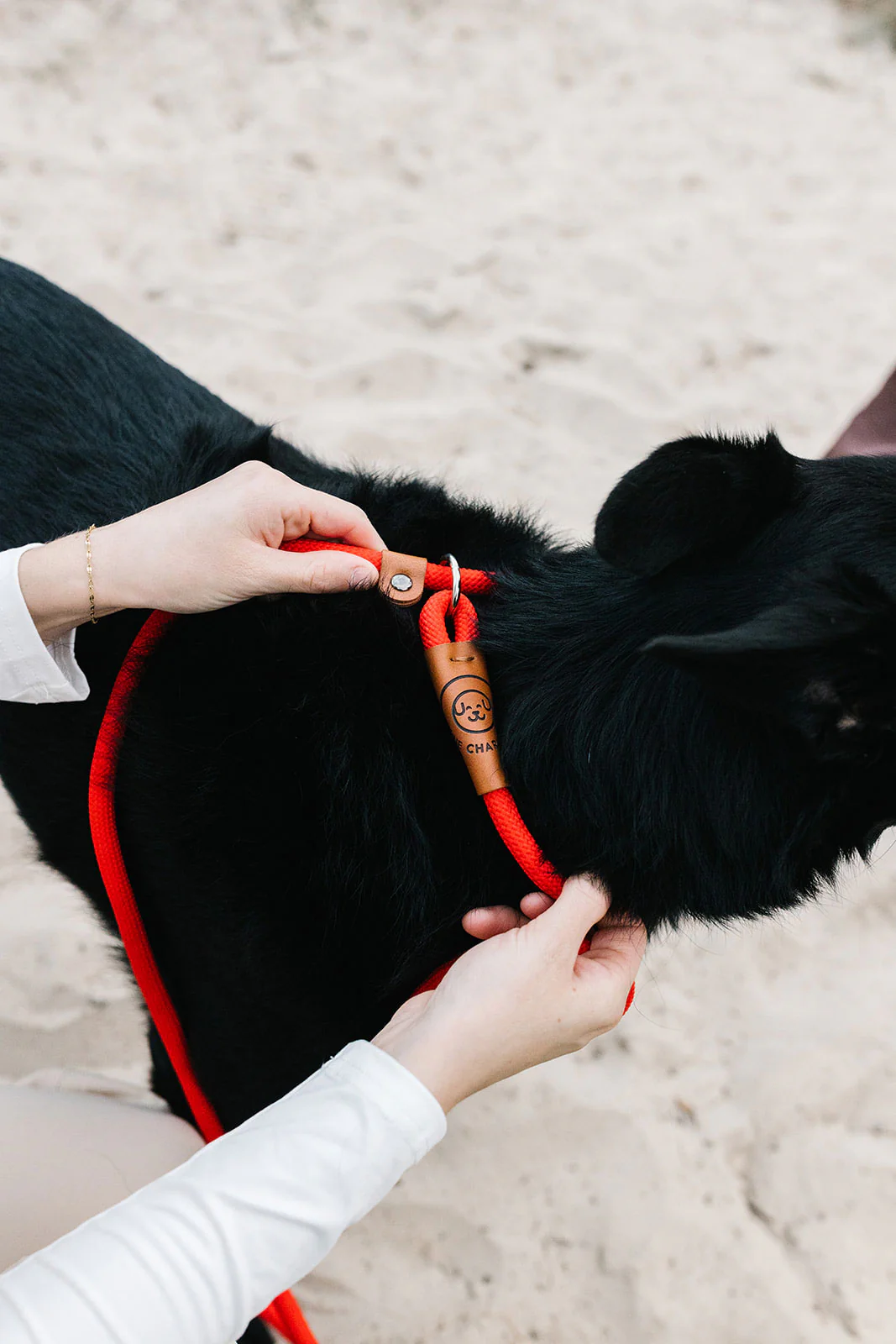 Rope Slip Lead - Velvet Red - The Original Charlie - Image 12