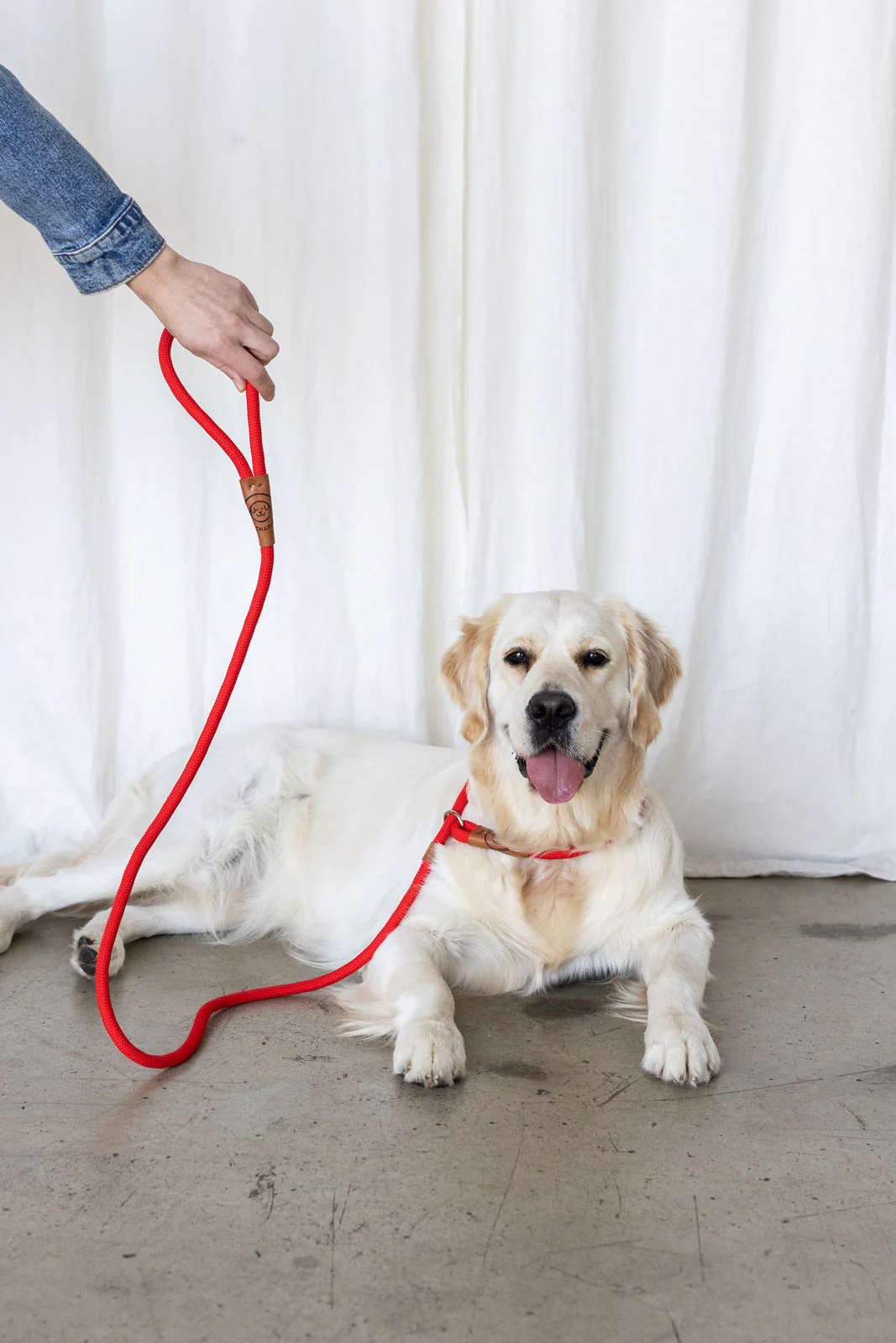 Rope Slip Lead - Velvet Red - The Original Charlie - Image 14