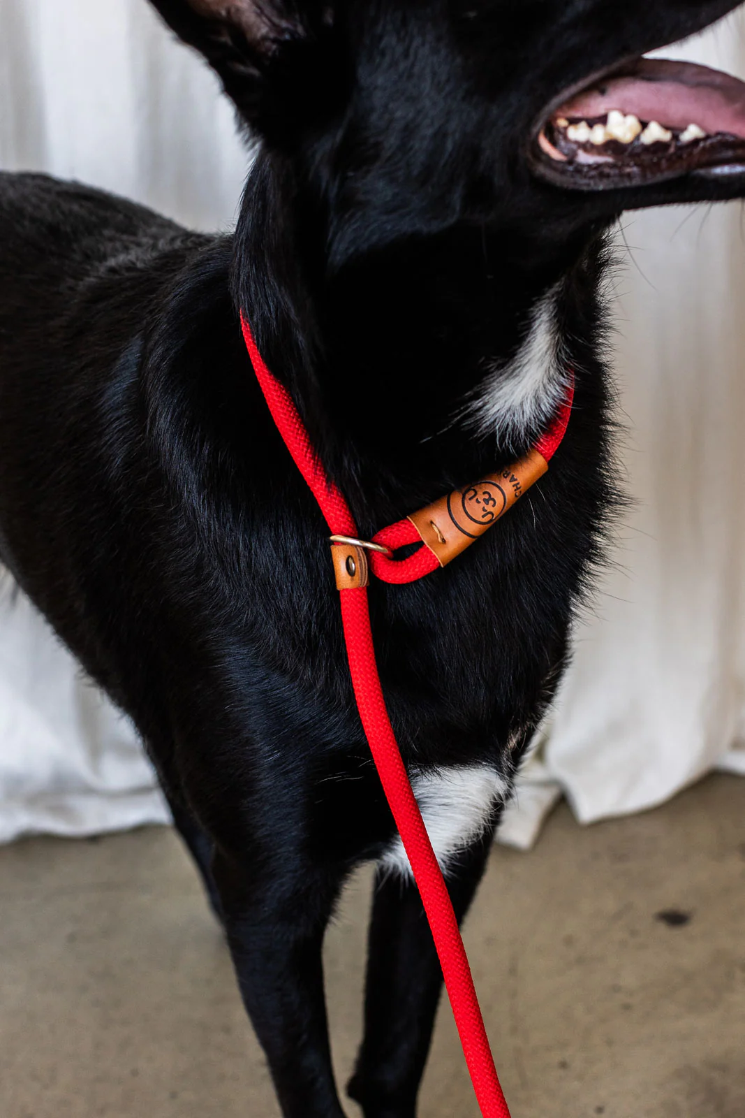Rope Slip Lead - Velvet Red - The Original Charlie - Image 13