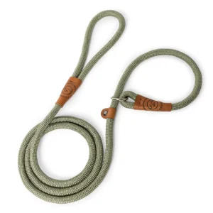 The Original Charlie Rope Slip Lead – Gum Leaf Green